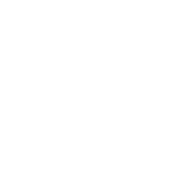 Bizcochito