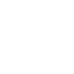 Mine