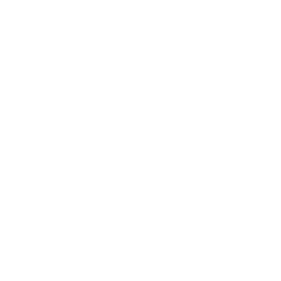 Side Step