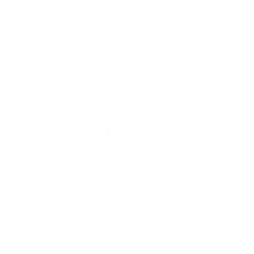 The Renegade