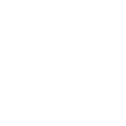 The Spark